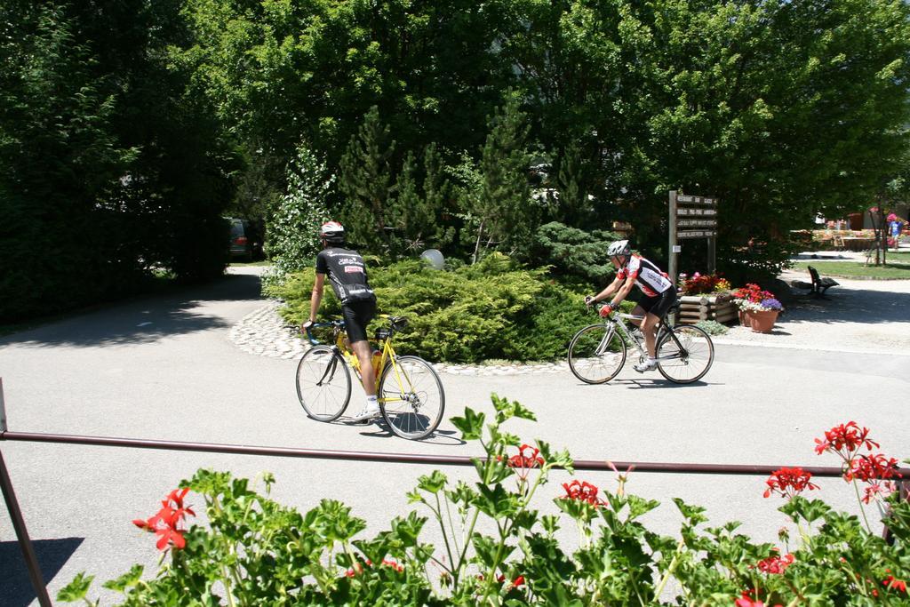 Camping Le Colporteur Hotel Le Bourg-d'Oisans Exterior photo
